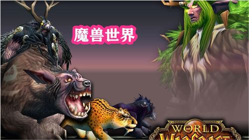 魔兽世界多少级可以时光漫游(wow时空漫游是什么意思)  第2张