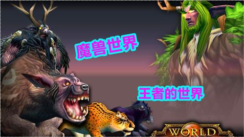 魔兽世界怀旧服双采怎么升级(魔兽世界双采升级攻略)  第1张