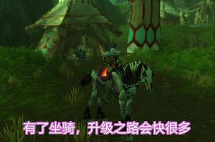 魔兽世界怀旧服小马多少金(魔兽世界怀旧服买马需要多少金币？)  第1张