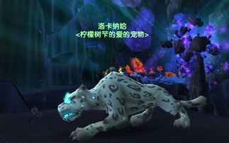 魔兽世界猎人靠什么输出(魔兽世界怀旧服猎人输出手法)  第2张