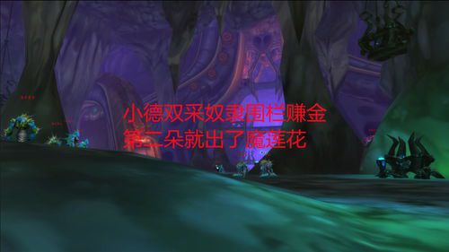 魔兽世界怀旧双采攻略(魔兽世界怀旧服双采最高等级)  第2张