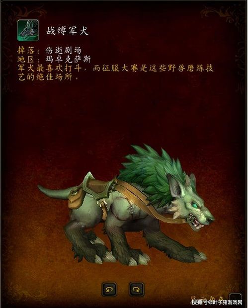 魔兽世界 坐骑收集攻略(魔兽世界坐骑大全及取得方法)  第2张