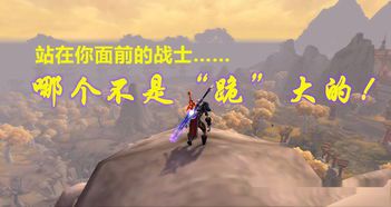 魔兽世界下跪宏怎么做(WOW表情宏)  第1张