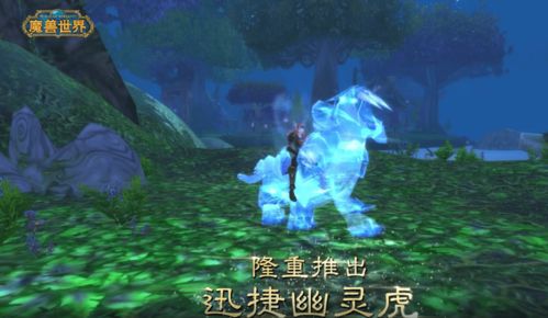 魔兽世界怎么不显示衣服外观(魔兽查看不了装备外观怎么办)  第2张