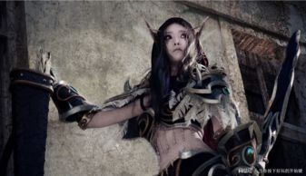 魔兽世界怎么取消自动接任务(wow自动交接任务怎么关)  第1张