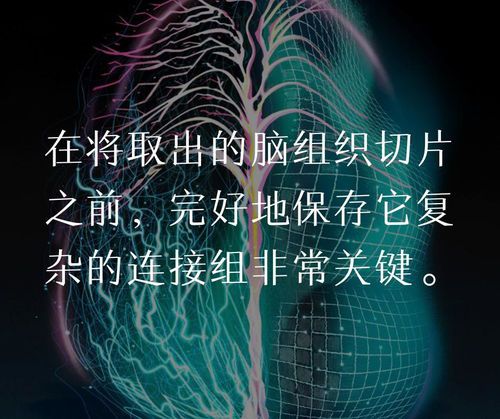 是否存在能够让人快速变强破解软件于长久之路上？  第1张