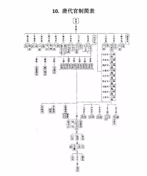 335仿官方魔兽世界私服  第2张